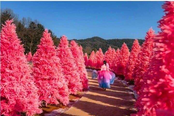 Pocheon Sanjeong Lake: Art Valley, Garden of Morning Calm & Herb Island Full-Day Tour