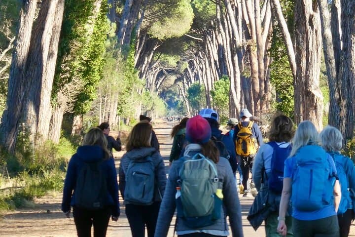 Guided Hike in San Rossore Park: Dunes, Wetlands & Wildlife Near Pisa