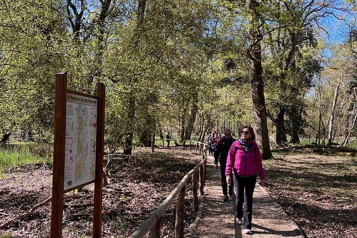 Guided Hike in San Rossore Park: Dunes, Wetlands & Wildlife Near Pisa photo 3