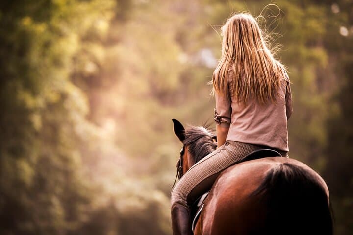 Horseback Ride Through Tuscan Hills with San Gimignano Wine Tasting photo 2