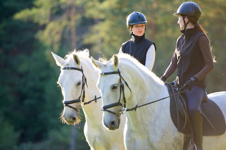 Horseback Ride Through Tuscan Hills with San Gimignano Wine Tasting