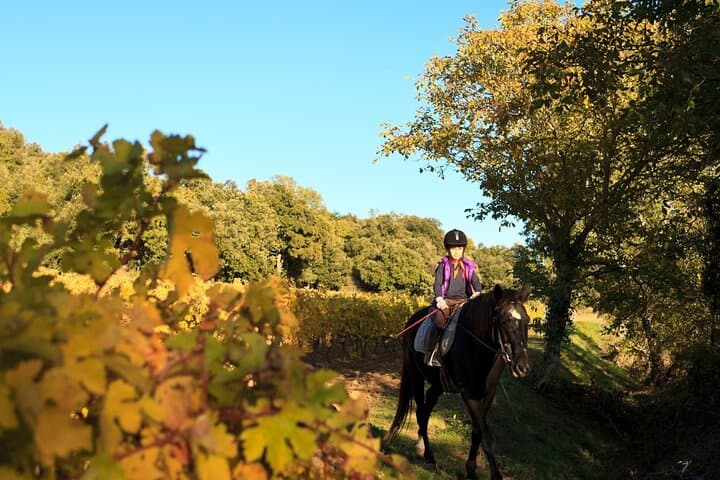 Horseback Ride Through Tuscan Hills with San Gimignano Wine Tasting photo 3