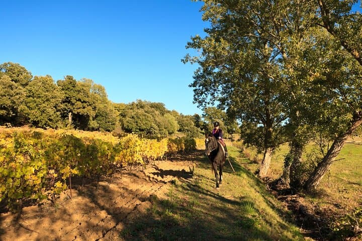 Horseback Ride Through Tuscan Hills with San Gimignano Wine Tasting photo 4