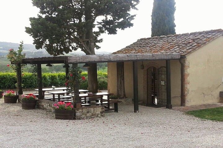 Horseback Ride Through Tuscan Hills with San Gimignano Wine Tasting photo 5