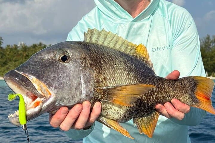 Sportfishing in Maldives: Half-Day Light-Jigging Adventure from Malé photo 5