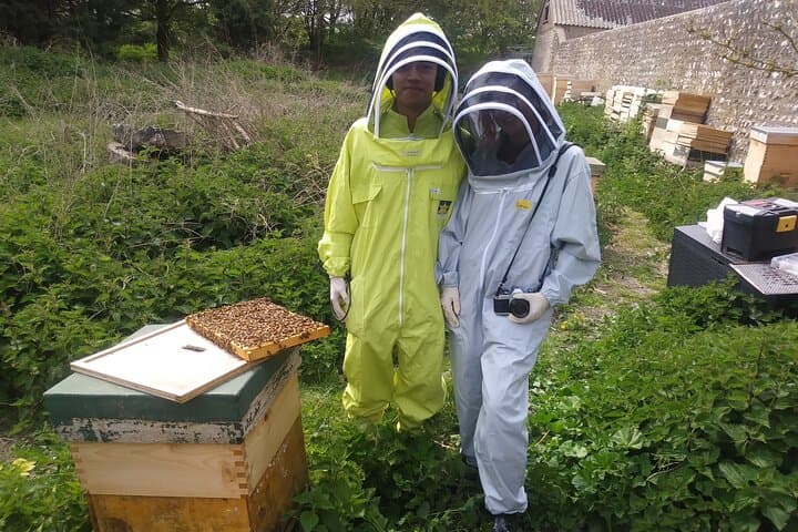 Sussex Beekeeping Experience: Hands-On Hive Visit & Local Honey