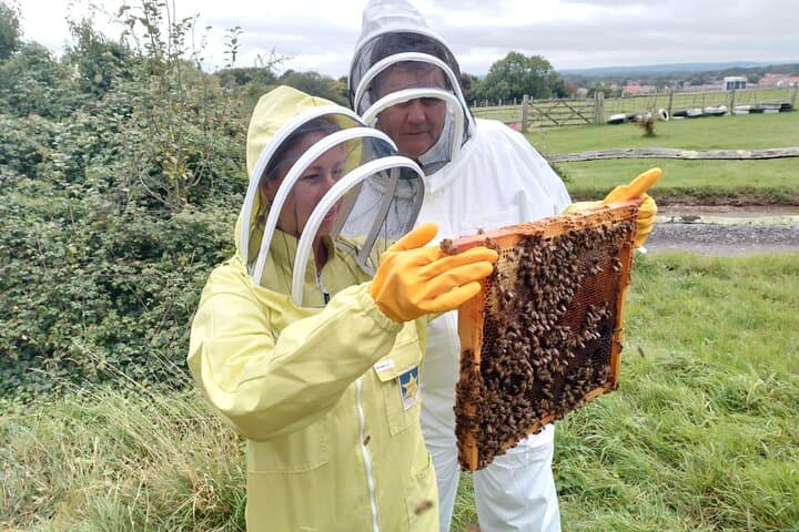 Bee a Beekeeper: Hands-On Beekeeping Experience in Sussex photo 2