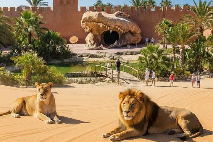 Agadir Wildlife Safari: Crocoparc and Lion Park Day Trip photo 1