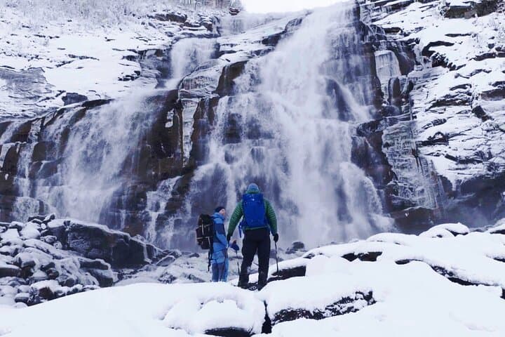 Valnesfossen and Saltstraumen Snowshoe Tour from Bodø