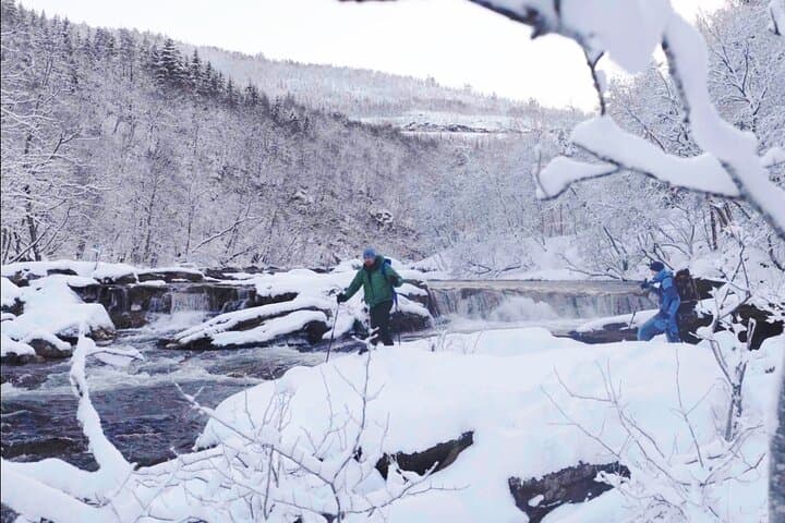 Valnesfossen and Saltstraumen Snowshoe Tour from Bodø photo 3