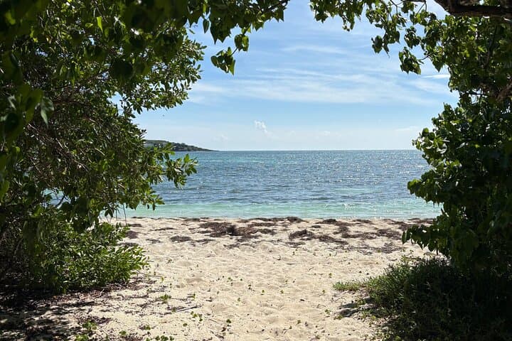 Private Island Driving Experience in Puerto Rico: Personalized Routes from San Juan photo 4