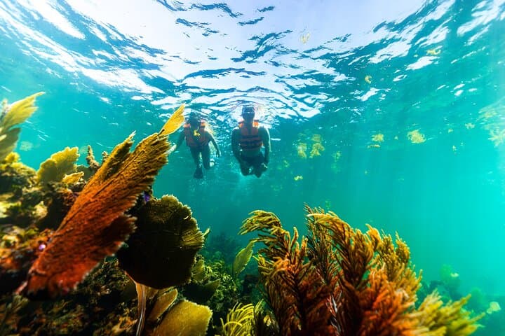 Private Puerto Morelos Snorkel and Tequila Tasting: VIP Reef Experience photo 2