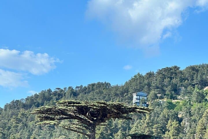 Jeep Safari to Gedelme Castle and Tahtalı Peak — Taurus Mountains 4x4 Adventure photo 5