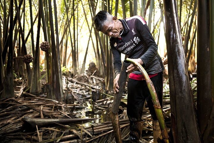 Palm Sugar Heritage Trail: Nipah Mangrove Tour & Gula Apong Tasting from Kuching photo 2
