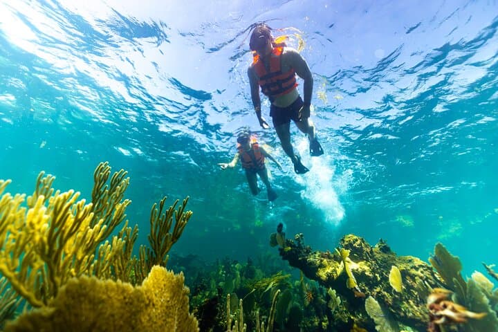 Private Puerto Morelos Snorkel: Private Boat Ride on the Mesoamerican Reef photo 2