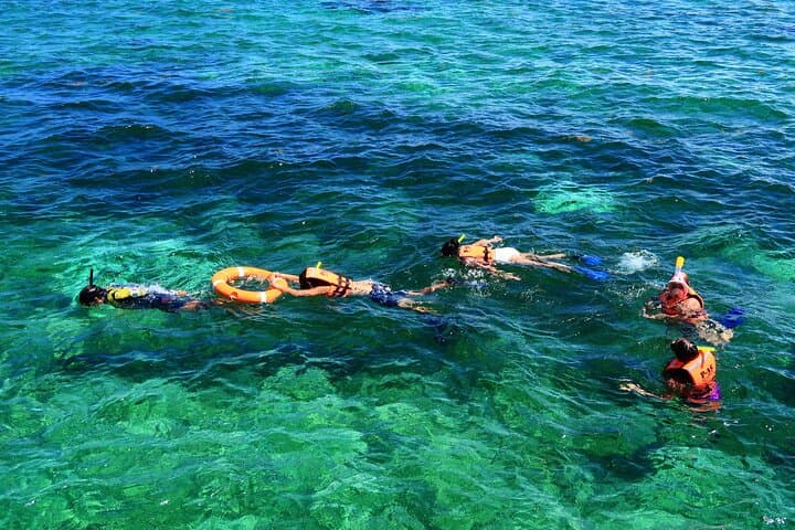 Private Puerto Morelos Snorkel: Private Boat Ride on the Mesoamerican Reef photo 6