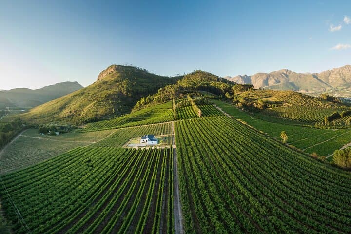 Private Winelands Tour: Franschhoek & Stellenbosch Wine Tasting from Cape Town