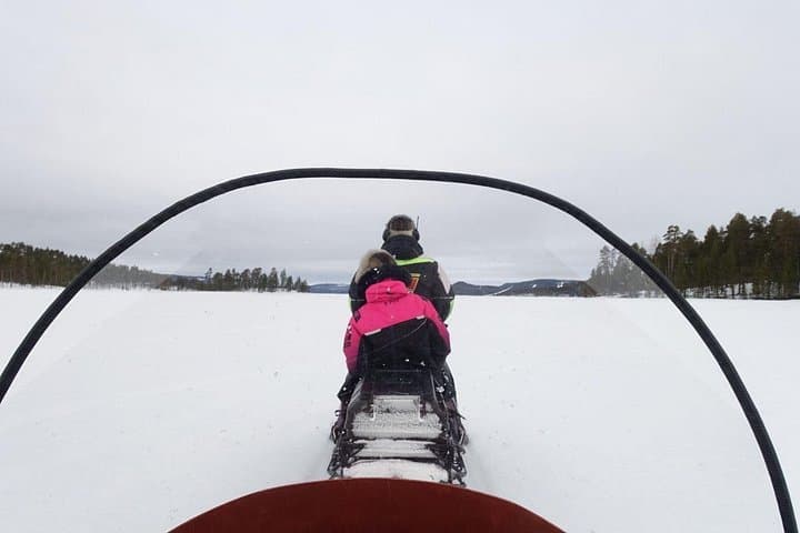 A Day with Reindeer Herders in Ivalo — Feed Reindeer & Learn Sámi Traditions photo 5