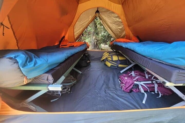 9-Day Machame Route Kilimanjaro Climb: Summit Uhuru Peak from Moshi photo 2