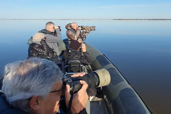 Lisbon Birdwatching Boat Tour — Tagus Estuary Birding Cruise from Lisbon photo 2
