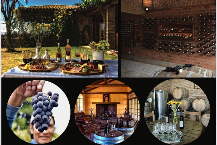 Papallacta Hot Springs and Andean Winery Day Trip from Quito photo 6