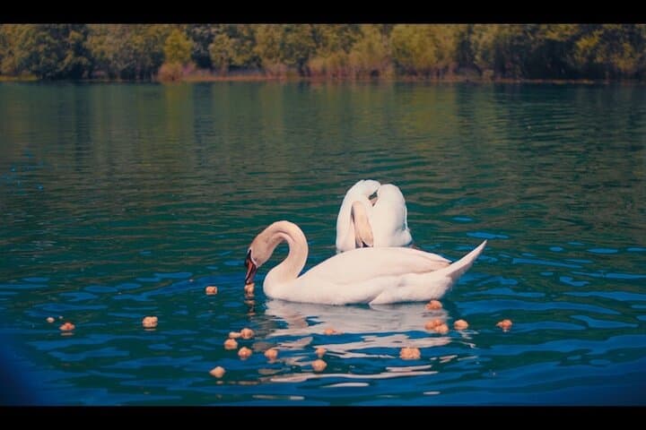 Skadar Lake Boat Cruise from Bar: Virpazar Wildlife & Wine Half-Day Excursion photo 6