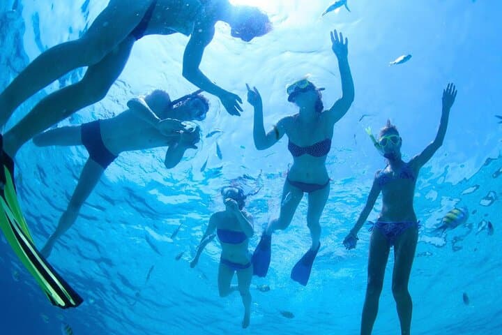 Cabo Private Sail and Snorkel: El Arco, Pelican Rock & Open Bar photo 4