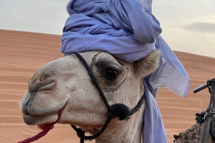 Four-Day Moroccan Desert Adventure: Merzouga, Dades & Berber Villages photo 4