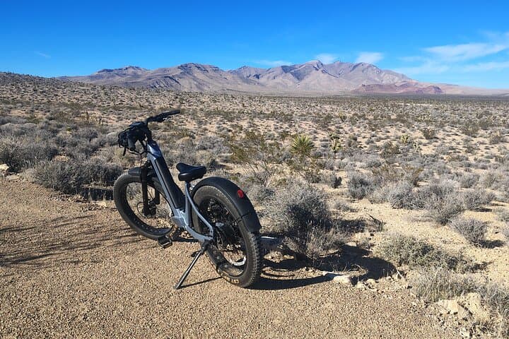 E‑Bike Ghost Town Ride Near Las Vegas: Jean NV Joshua Tree Trails & Mt Potosi photo 5