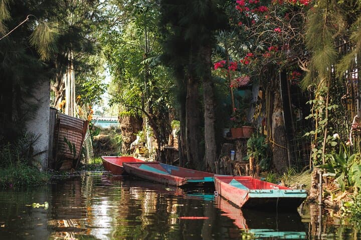 Xochimilco Trajinera and UNAM Tour: 5-Hour Boat Ride and Campus Highlights photo 4