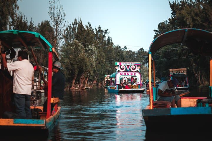 Xochimilco Trajinera and UNAM Tour: 5-Hour Boat Ride and Campus Highlights photo 5