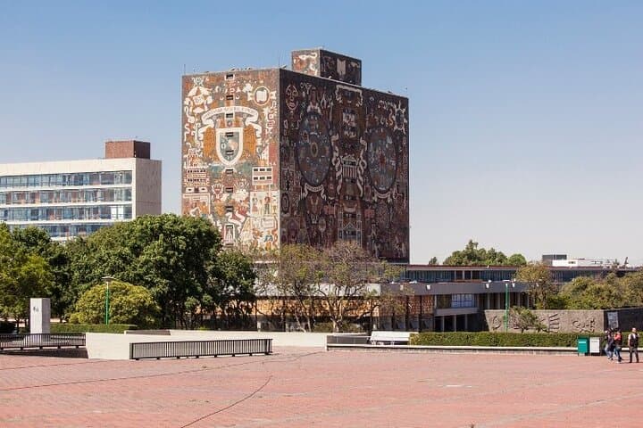 Xochimilco Trajinera and UNAM Tour: 5-Hour Boat Ride and Campus Highlights photo 6