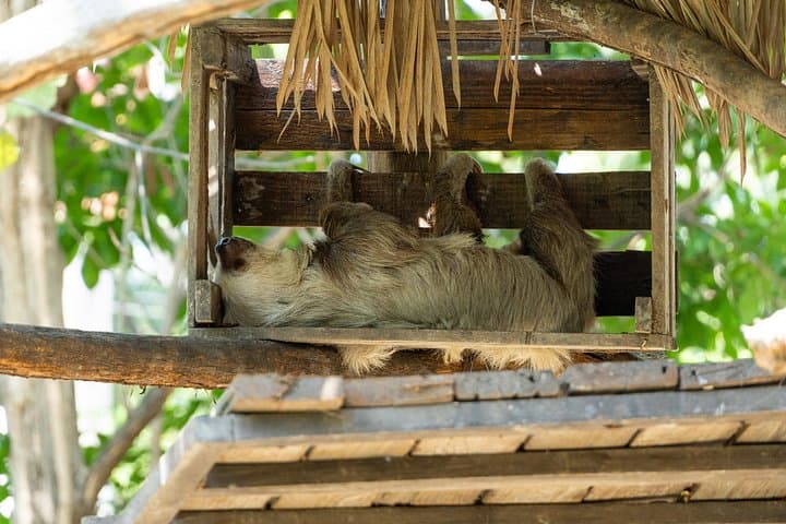Guayaquil Half-Day: Historic Park, Las Peñas and Cacao Cooking Experience photo 3