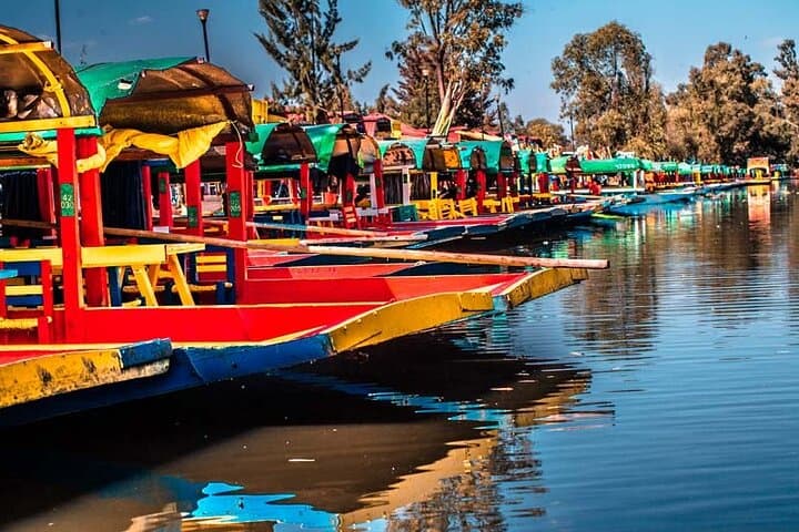 Xochimilco Trajinera and UNAM Tour: 5-Hour Boat Ride and Campus Highlights