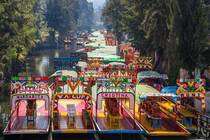 Xochimilco Trajinera and UNAM Tour: 5-Hour Boat Ride and Campus Highlights photo 3