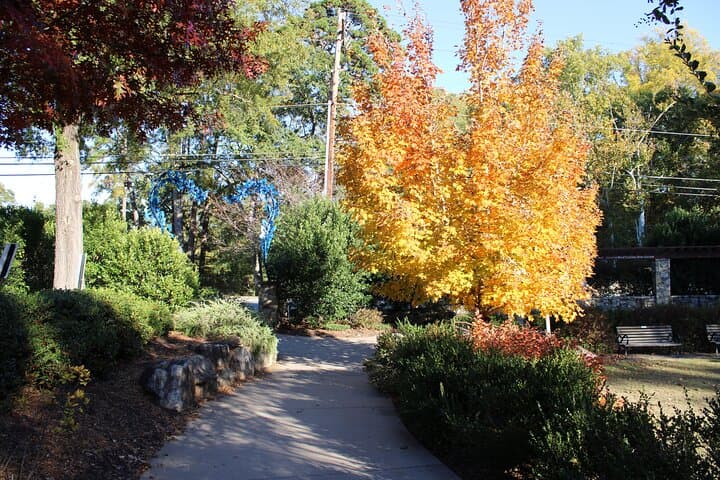 Explore Greenville's Swamp Rabbit: 2-Hour BYOB City Cycling Tour