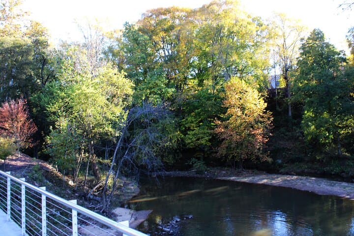 Explore Greenville's Swamp Rabbit: 2-Hour BYOB City Cycling Tour photo 4