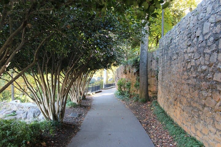 Explore Greenville's Swamp Rabbit: 2-Hour BYOB City Cycling Tour photo 6