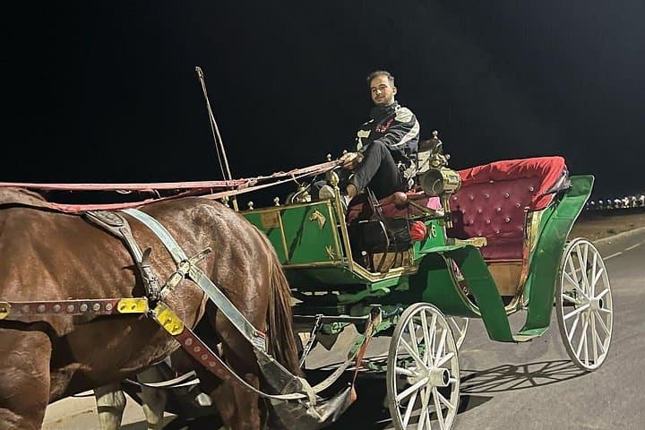 Private Horse-Drawn Carriage Tour of Marrakech with Hamada — 1-Hour Historic Route photo 2