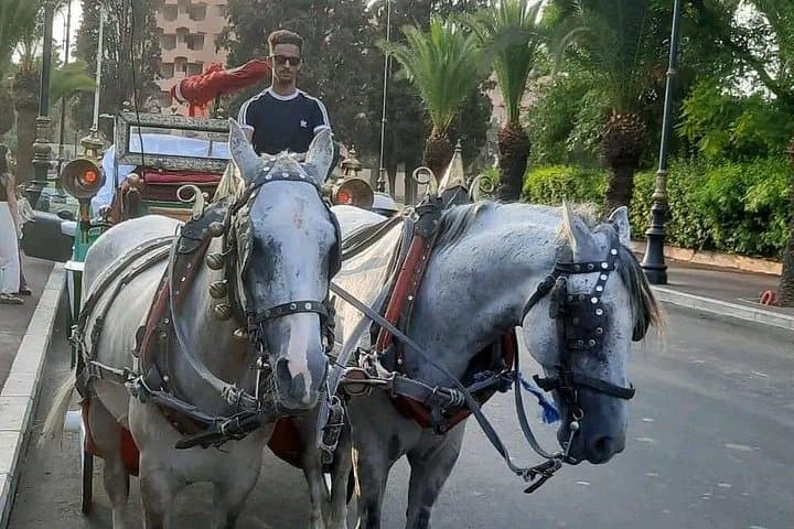 Private Horse-Drawn Carriage Tour of Marrakech with Hamada — 1-Hour Historic Route photo 3