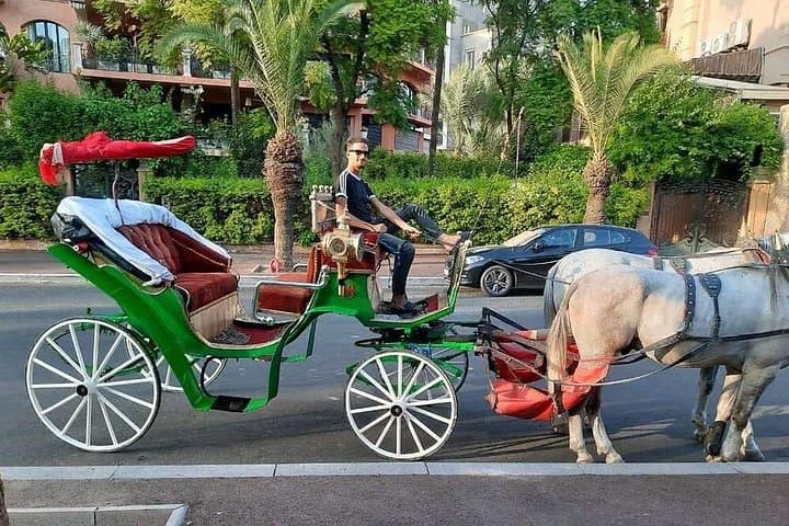 Private Horse-Drawn Carriage Tour of Marrakech with Hamada — 1-Hour Historic Route photo 4