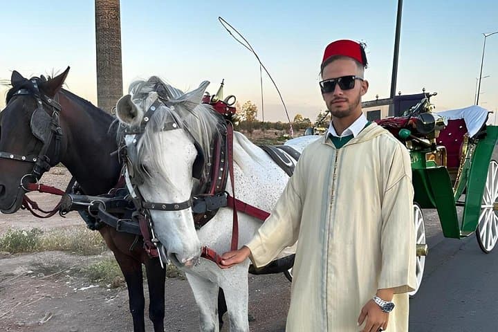 Private Horse-Drawn Carriage Tour of Marrakech with Hamada — 1-Hour Historic Route photo 1