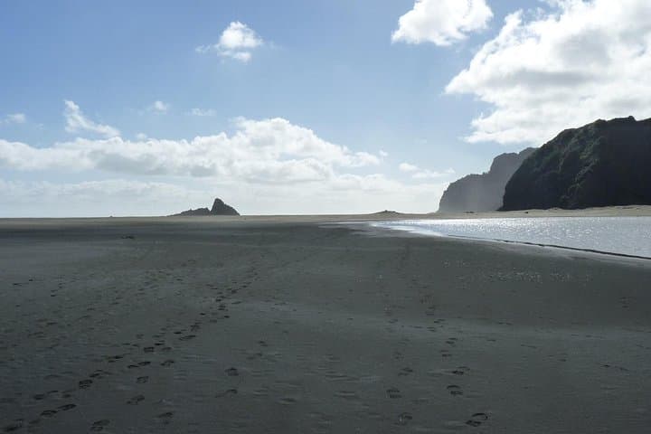 Auckland West Coast Rainforest and Black-Sand Beaches Private Day Tour photo 6