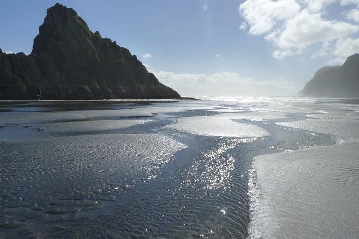 Auckland West Coast Rainforest and Black-Sand Beaches Private Day Tour