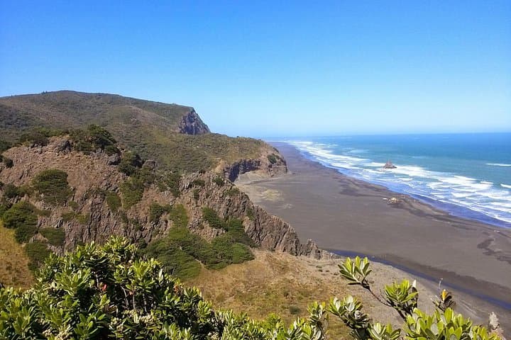 Auckland West Coast Rainforest and Black-Sand Beaches Private Day Tour photo 5