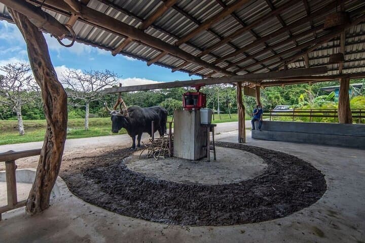 Guanacaste Eco Adventure: Canopy, Hot Springs & Indigenous Workshops Day Pass photo 6