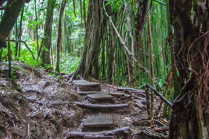 Hilo Volcano and Waterfall Discovery Tour: Kīlauea Views, Rainforest Walks & Local Flavors photo 3