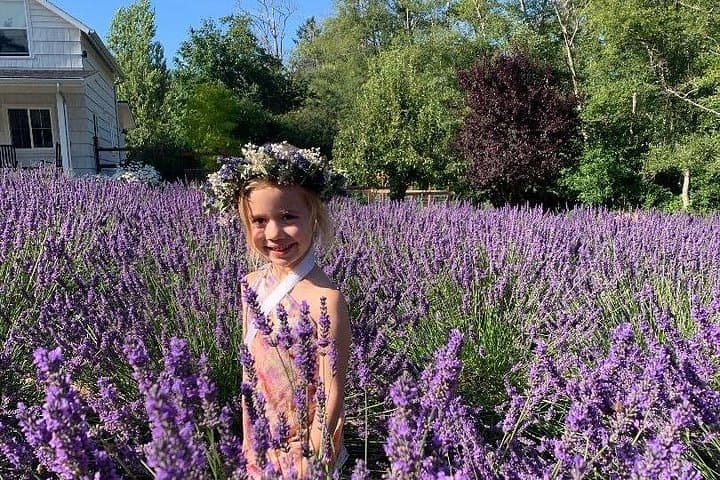 U-Pick Lavender at Bluetree Farm Bainbridge Island — Harvest, Walk & Lemonade photo 2