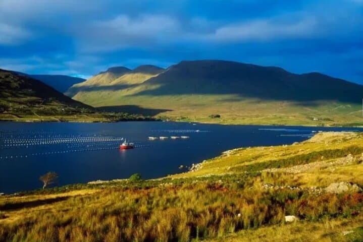 Killary Fjord Mussel Farm Tour and Tasting — On‑Water Mussel Farm Experience in Connemara