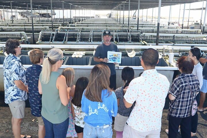 Big Island Abalone Farm Tour: Interactive Abalone Tasting & Farm Visit photo 3